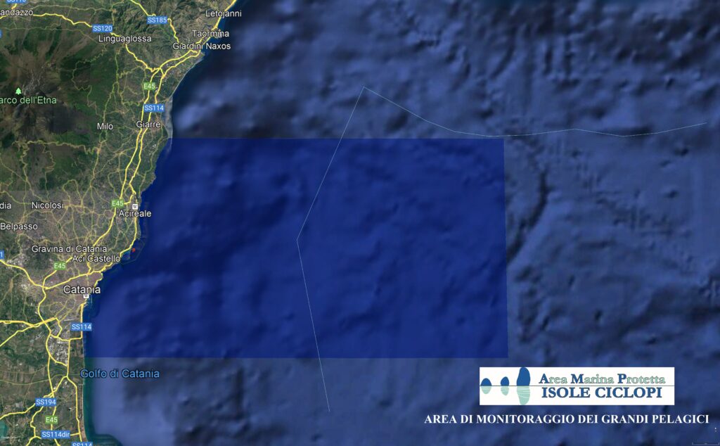 The image show the survey area map front the MPA shore